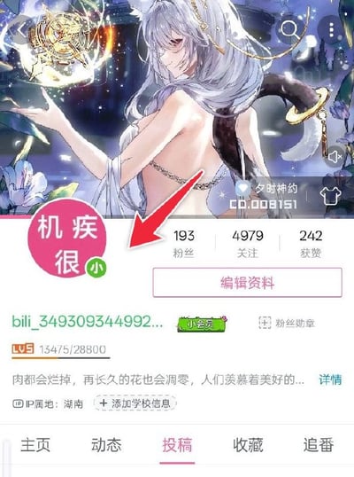这是一张B站个人主页的截图，上半部分使用二次元游戏角色插画作为背景，下半部分展示该B站账号的个人信息：账号共有193名粉丝、关注了4979个账号、获得242个赞，账号等级为LV5，身份是小会员，IP属地为湖南，个人简介截取内容为“肉都会烂掉，再长久的花也会凋零，人们羡慕着美好的...”。图中额外添加了红色箭头指向粉丝数区域，还标注了粉色圆形的文字“机疾很小”，玩谐音梗调侃自己粉丝基数极少。