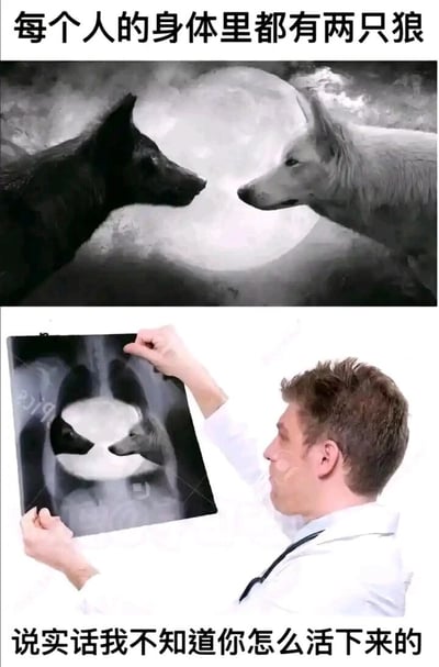 这是一张上下拼接的搞笑网络梗图，上半部分是黑白风格的两只狼对视的画面，搭配配文“每个人的身体里都有两只狼”，引用了经典的心灵隐喻，通常用来指代人内心存在的两种对立特质；下半部分是一位穿着白大褂的医生，双手举着一张X光片专注查看，X光片里的胸腔位置恰好呈现出上半部分的两只狼的图案，搭配配文“说实话我不知道你怎么活下来的”。这张图将抽象的内心隐喻具象化到写实的医疗场景中，用医生的疑惑吐槽制造出荒诞的反差感，解构了原有的严肃隐喻，达到搞笑的效果。