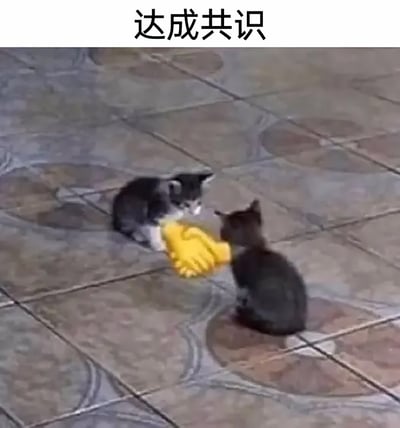 这是一张经过P图改编的趣味网络梗图，画面中两只小猫的前爪被替换成了黄色的握手手套，呈现出握手的姿态，图片上方配有文字“达成共识”，通过拟人化的创作手法，生动形象地表现出双方达成一致意见的场景，充满趣味性，常被用于社交场景中表达沟通双方、合作方达成共同意向的状态。