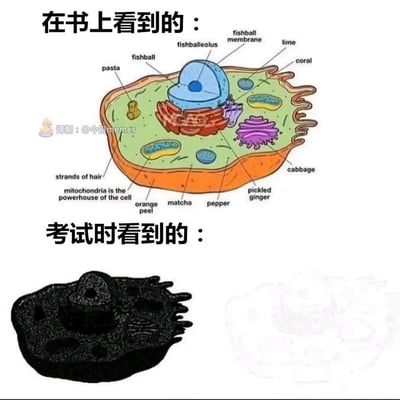 这是一张上下对比的搞笑梗图，上半部分标注为“在书上看到的”，将动物细胞的各个结构用趣味化的食物名称进行标注，比如细胞核被标为“fishball（鱼丸）”，细胞膜标注为“orange peel（橘子皮）”，线粒体旁还标注了经典知识点“mitochondria is the powerhouse of the cell”，用生动有趣的方式呈现细胞结构，降低记忆难度；下半部分标注为“考试时看到的”，左侧是一团模糊不清的黑色细胞轮廓，右侧是几乎完全不可见的白色轮廓，夸张地表现出学生在平时学习时觉得知识点清晰好记，到了考试关键时刻却大脑一片空白、完全记不住知识点的真实尴尬处境，精准戳中学生备考的痛点，引发学生群体的强烈共鸣。