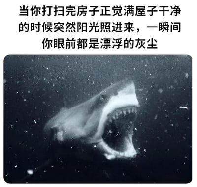 图片上方为文字描述：'当你打扫完房子正觉满屋子干净的时候突然阳光照进来，一瞬间你眼前都是漂浮的灰尘'，下方配图为一张鲨鱼在深色背景中张嘴露出牙齿的黑白照片，周围布满细小漂浮颗粒，幽默地将打扫后发现灰尘的震惊感比作遇到鲨鱼的场景。