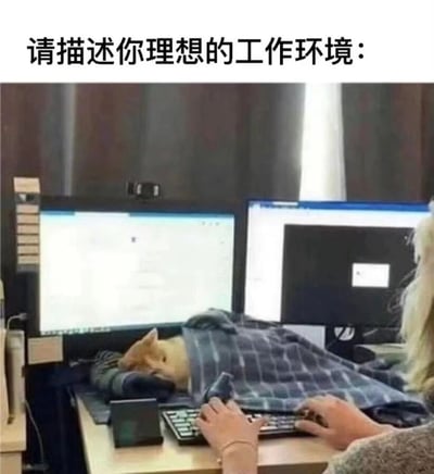 图片上方配有文字"请描述你理想的工作环境："，下方是一张办公桌场景。桌上有两个电脑显示器，一个人正在使用键盘工作，而一只狗舒适地裹着毯子睡在键盘前的桌面上，形成了一种幽默的对比，暗示这只狗正享受着许多人理想中的工作环境。