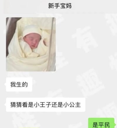 这是一段社交软件的聊天记录截图，上方备注为“新手宝妈”的用户，先发送了一张裹着浅黄色襁褓、戴着白色胎帽的熟睡新生儿照片，随后接连发送两条消息：“我生的”“猜猜看是小王子还是小公主”，下方绿色气泡的回复内容是“是平民”，用跳出常规性别猜测的玩梗方式，制造出反差搞笑的效果，避开了猜性别的问题，用幽默的回应消解了常见的社交提问场景。