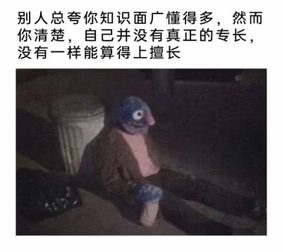 这是一张采用顶配底文结构的图文混排梗图，顶部放置文字内容，表述了“被他人夸赞知识面广，但自身清楚并没有拿得出手的专长”的无奈心境，下方配图是一个神态呆滞的布偶独自坐在昏暗环境中，背靠垃圾桶，整体氛围颓废低落，精准呼应了配文所描述的清醒又迷茫的自嘲情绪，很容易引发大众关于“杂而不精”的自我认知共鸣。