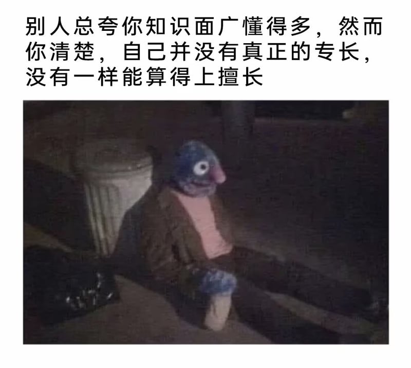 外网流行梗素材