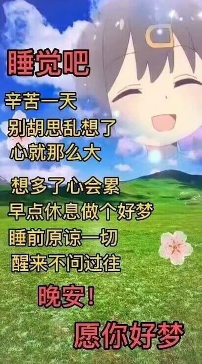 图片右侧是一位笑容灿烂的动漫女孩，短发带发饰，双眼眯起，背景为绿色草地、蓝天白云及一朵粉色小花。左侧纵向排列多行文字，内容为：“睡觉吧 辛苦一天 别胡思乱想了 心就那么大 想多了心会累 早点休息做个好梦 睡前原谅一切 醒来不问过往 晚安！愿你好梦”。整体风格温馨治愈，旨在传递晚安祝福与休息的鼓励。