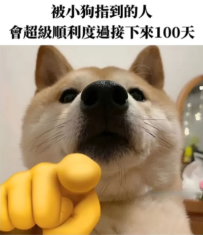这是一张带有祝福性质的萌宠梗图，上方配有文字“被小狗指到的人 會超級順利度過接下來100天”，下方是一只柴犬的特写照片。柴犬仰头注视着前方，表情呆萌好奇，其面前被放置了一个黄色的手指形状玩偶，营造出小狗正在用手指指向观众的视觉效果。整体画面温馨可爱，通过拟人化的手法传递出对观看者的美好祝愿。