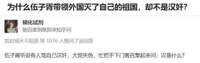 这张图是一条历史类知识问答截图，通过现代视角调侃古代人物伍子胥“被骂汉奸”的问题，回答利用了‘汉’与‘汗’的谐音梗，让历史人物陷入现代语境下的无厘头困惑，形成了轻松搞笑氛围。该问答本质上用历史与现代网络语言碰撞制造幽默反差，非常适合朋友圈和聊天斗图使用。
谐音梗是本张图片的核心笑点。