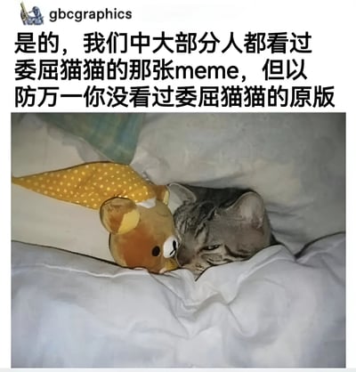 图片上方为黑色文字说明：“是的，我们中大部分人都看过委屈猫猫的那张meme，但以防万一你没看过委屈猫猫的原版”。下方是一张实拍照片，内容为一只灰色虎斑猫蜷缩在白色床单中，头部依偎着一个棕色小熊玩偶，小熊穿着黄色波点衣物。猫咪双眼半眯，表情显得委屈巴巴，整体画面温馨又带着一丝可爱的忧郁感。