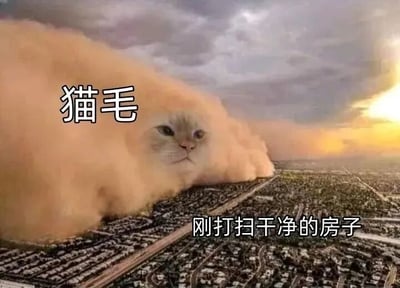 图片将猫毛夸张地表现为遮天蔽日的沙尘暴，橙黄色的“猫毛风暴”中露出一只表情平静的猫脸，正席卷下方的城市景观。画面下方配有文字“刚打扫干净的房子”，幽默地展现了养猫家庭中猫毛清理不尽的无奈场景，通过极端化的视觉对比突出猫毛问题的“破坏力”。