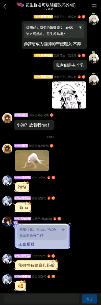 这是一张竖屏的手机群聊截图，群名称为“花生群名可以随便改吗(940)”，群成员均使用二次元风格的头像和昵称，围绕宠物话题展开闲聊。成员“梦想成为画师的笨蛋魔女”询问“花生”是否养猫，成员“翡翠花生”回复不养猫但家里有狗，随后其他成员“猫门”“纯牛马”“Duang”纷纷表示想rua狗，最后成员“纯牛马”提到自己宿舍有蟑螂和蚂蚁，话题出现转折。整个对话氛围轻松随意，是典型的兴趣社群日常闲聊场景。