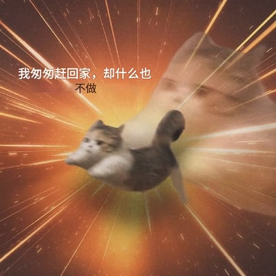 图片主体为一只橘白相间的猫咪，背景是橙黄色调的放射状速度线，营造出高速移动的视觉效果。猫咪姿态舒展，表情淡定，仿佛正匆忙赶路。背景中隐约可见一张模糊的人类侧脸轮廓。图片上方叠加白色文字：“我匆匆赶回家，却什么也不做”。整体通过猫咪“匆忙赶路”的动态画面与“无所事事”的文字内容形成强烈反差，幽默地描绘了当代人常见的生活状态——在外奔波忙碌，回到家后却只想放空躺平，什么也不想做，引发观众共鸣。