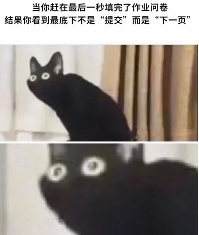 图片上方文字描述了学生赶在最后一秒填完作业问卷，却发现底部不是“提交”而是“下一页”的场景。下方为两张上下拼接的黑猫图片：第一张黑猫抬头，双眼圆睁，表情震惊；第二张是黑猫面部特写，眼睛瞪得更大，震惊情绪更加夸张，生动展现了遇到意外状况时的崩溃与无奈。