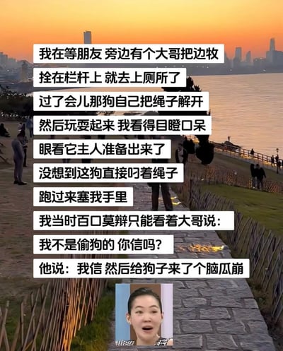 这是一张图文混排的搞笑梗图，背景为黄昏时分的江边步道实拍风景，下方拼接了徐熙娣（小S）的惊讶表情表情包，上方用分段文字讲述了一则尴尬又好笑的生活经历：发布者在等朋友时，身旁的大哥将边牧拴在栏杆后去上厕所，边牧自行解开绳子玩耍，看到主人返回时，竟叼着绳子塞到发布者手里，发布者只能尴尬地对大哥辩解“我不是偷狗的你信吗？”，大哥表示相信并给了狗子一个脑瓜崩。小S的惊讶表情包精准传递出发布者当时的无语与错愕，内容充满生活趣味，无谐音或双关梗。