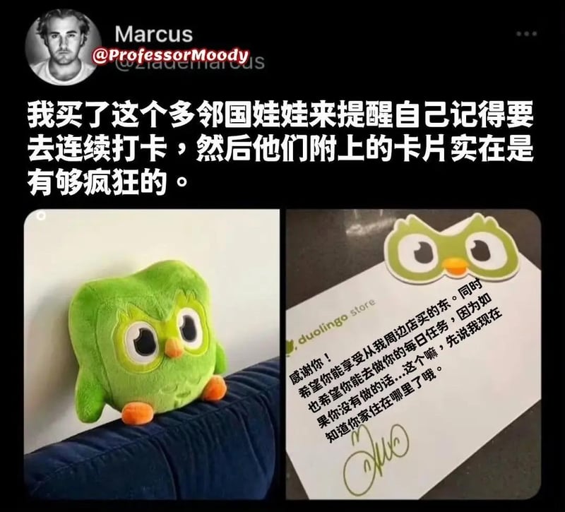 多邻国猫头鹰