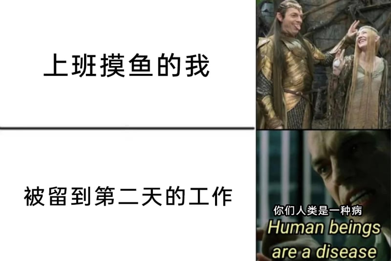 《黑客帝国》《疾速追杀》系列影视作品