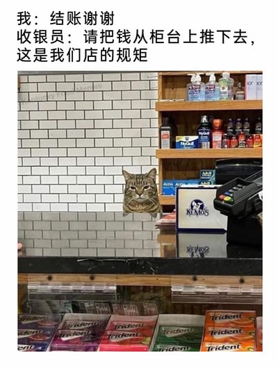 这是一张经过P图改编的搞笑图文meme，场景设定在便利店的收银台区域：背景是白色瓷砖墙，木质货架上摆放着各类药品、日常用品，收银台配有刷卡机和印有“NEMO'S”的标识牌。收银台下方的孔洞中探出来一只表情嫌弃、无语的猫咪。图上方配有虚构对话：顾客说“结账谢谢”，收银员要求“请把钱从柜台上推下去，这是我们店的规矩”，结合猫咪的位置，暗示把钱推下去会落到猫咪所在的孔洞里，用这种离谱的结账规矩制造荒诞的搞笑效果，猫咪的嫌弃表情进一步放大了这种反差感，让人觉得滑稽又离谱。