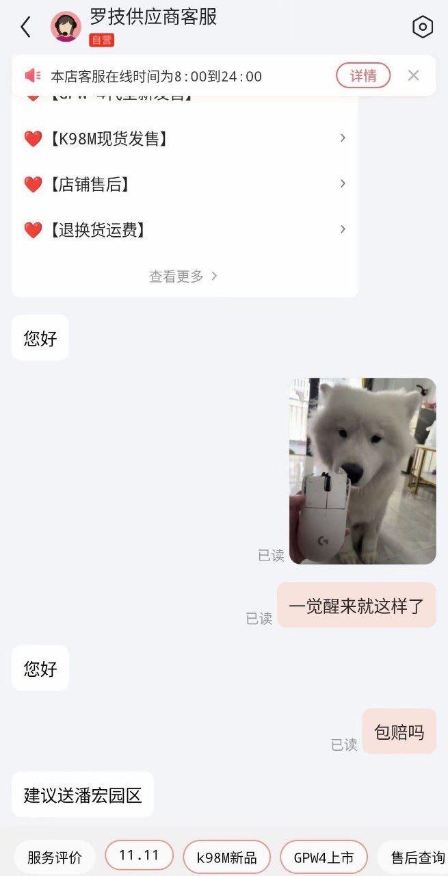 萨摩耶犬