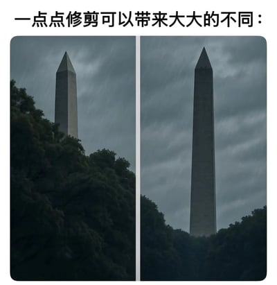 图片展示了华盛顿纪念碑的左右对比效果。左侧图片中，纪念碑被茂密的树木部分遮挡，显得不够突出；右侧图片中，树木经过修剪后，纪念碑完整地展现出来，更加高耸醒目。上方配有文字'一点点修剪可以带来大大的不同：'，直观地展示了植被修剪对地标景观呈现的显著影响。