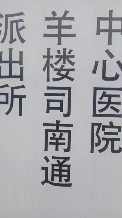这是一张原始拍摄的竖版纯文字静态图，画面背景为浅色，以竖排形式呈现了三列深色的地点名称文字，从左至右依次为“派出所”“羊楼司南通”“中心医院”，属于公共地点指引类标识，能够为观者提供附近机构的位置信息，推测是公交站点或街道旁的指示牌。