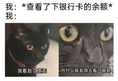 图片上方文字为“我：*查看了下银行卡的余额* 我：”，下方是两张并排的猫咪图片。左侧是一只黑猫侧头注视，眼神平静，下方配文“我看到了虚无”；右侧是一只猫咪的脸部特写，眼睛瞪大，表情带着震惊与懊悔，下方配文“为什么我非得去看一眼呢”。整体通过猫咪的表情变化，幽默地展现了人们查看银行卡余额后从平静到懊悔崩溃的心理状态。
