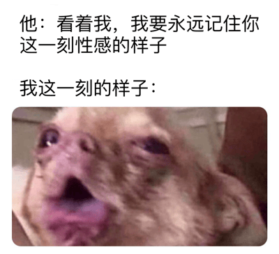 梗图上方文字模拟对话场景：'他'要求记住对方'性感的样子'，下方配图是一只法国斗牛犬（或类似品种）的近距离特写——狗狗嘴巴大张，眼神迷离，面部皮肤褶皱明显，表情滑稽扭曲，与'性感'形成强烈反差萌，通过预期与现实的搞笑错位制造笑点。