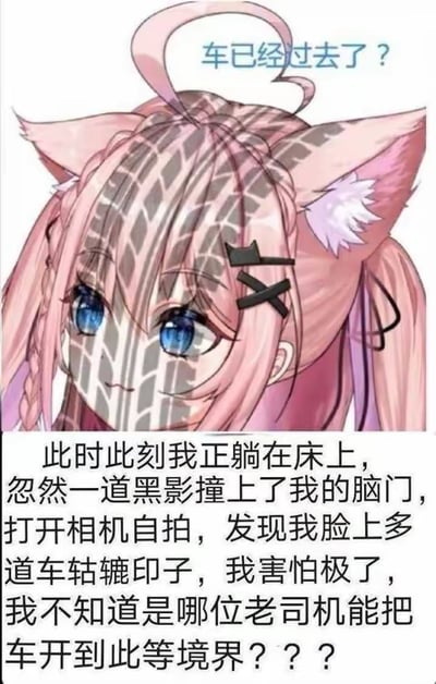 这是一张图文混排的搞笑P图梗图，画面主体是一位有着粉色双马尾和猫耳的二次元猫娘形象，其脸部与额头被P上了清晰的车辙纹路，仿佛被车碾过一般。图的上方配有蓝色文字“车已经过去了？”，下方则是一段充满脑洞的文字描述：“此时此刻我正躺在床上，忽然一道黑影撞上了我的脑门，打开相机自拍，发现我脸上多道车轱辘印子，我害怕极了，我不知道是哪位老司机能把车开到此等境界？？？”。这是完全的脑洞调侃，现实中不可能有车开到床上撞到人的脑门，只是用荒诞的设定制造无厘头的搞笑效果，没有双关或谐音梗。