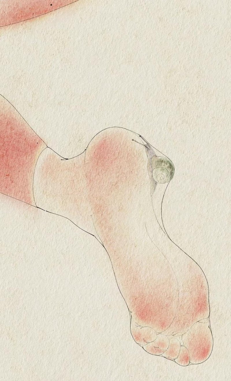 蜗牛