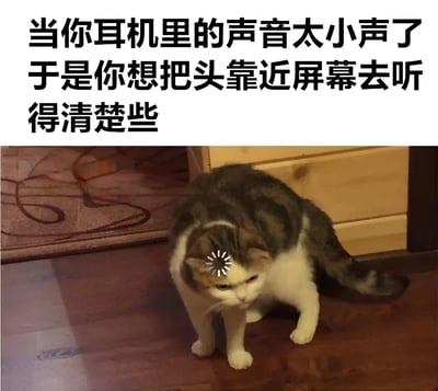这张梗图上方是黑色文字："当你耳机里的声音太小声了 于是你想把头靠近屏幕去听得清楚些"，下方是一只灰白相间的猫低头靠近地面的照片，猫头上被添加了一个白色的音量控制图标。图片通过将人类试图靠近屏幕听声音的常见行为与猫低头靠近地面的姿势进行类比，创造出幽默效果。