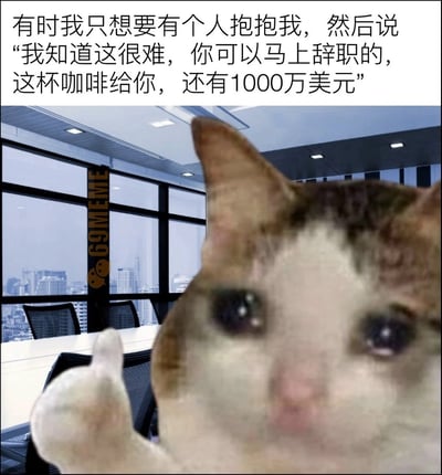 这是一张打工人自嘲风格的搞笑梗图，采用顶配底文的结构。顶部的配文说出了当代职场人的美好幻想：在承受工作压力倍感疲惫时，能有人拥抱自己，认可当前处境的艰难，允许自己马上辞职，还送上咖啡和1000万美元的巨款。下方配图是一只眼含泪水、看起来十分委屈的猫咪，被合成到高层写字楼的会议室背景中，对着镜头比出点赞的手势，精准戳中打工人一边硬扛工作压力，一边幻想能轻松脱离职场困境的心境，充满自嘲的幽默感。