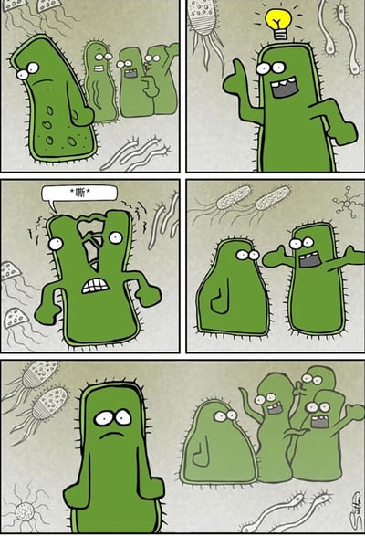 这是一组5格的拟人化细菌搞笑漫画：第一格，一只绿色拟人细菌垂头丧气，旁边三只同类在背后对它指指点点；第二格，这只细菌头顶亮起灯泡，想到了一个主意，表情变得兴奋；第三格，它的身体开始裂开，发出“嘶”的声音，表情痛苦；第四格，它成功分裂成了两只完整的绿色细菌，其中一只开心地张开手臂；第五格，分裂后的其中一只细菌又变回了沮丧的表情，而原本背后议论它的三只细菌已经变成了四只，显然它们也进行了分裂，这只细菌试图通过分裂摆脱孤单的计划并没有成功，它依旧处于失落的状态。漫画利用细菌二分裂的生物学特性，拟人化地制造了一个搞笑的反差笑话。