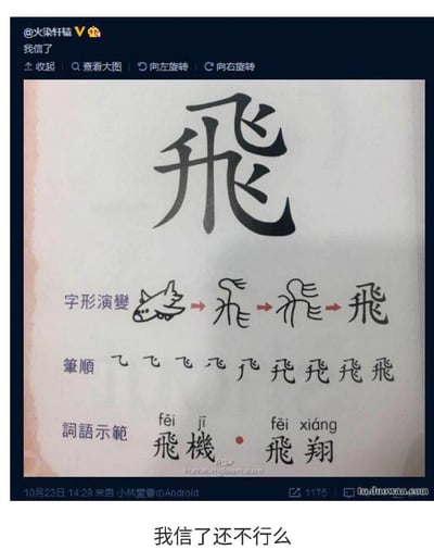 这是一张网络搞笑梗图，整体为社交媒体截图，主体内容是恶搞繁体汉字“飛”的字形演变教程：页面顶部展示了放大的繁体“飛”字，随后的字形演变部分玩梗，将原本汉字最初的象形原型替换成了飞机的简笔画，之后依次展示从象形文字到现代繁体“飛”的演变过程，接下来展示了“飛”的笔顺，以及用“飛”组成的词语示范“飛機”和“飛翔”，原发帖博主配文“我信了”，截图下方还有额外配文“我信了还不行么”。该图利用“飛”就是飞机的“飞”这个点，恶搞汉字起源演变，创造出荒谬又让人忍俊不禁的伪科普内容，属于脑洞搞笑梗。