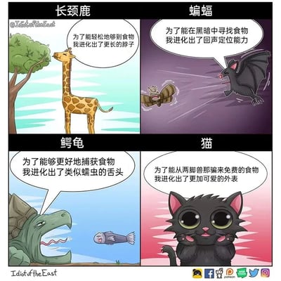 四格漫画展示四种动物为获取食物的进化策略：左上角长颈鹿伸长脖子够树叶，配文'为了能轻松地够到食物我进化出了更长的脖子'；右上角蝙蝠在黑暗中飞行，配文'为了能在黑暗中寻找食物我进化出了回声定位能力'；左下角鳄龟用蠕虫状舌头引诱鱼类，配文'为了能够更好地捕获食物我进化出了类似蠕虫的舌头'；右下角黑猫双手托脸卖萌，配文'为了能从两脚兽那骗来免费的食物我进化出了更加可爱的外表'。通过动物拟人化对话制造反差幽默，尤其猫的'骗吃'策略贴近人类生活体验。