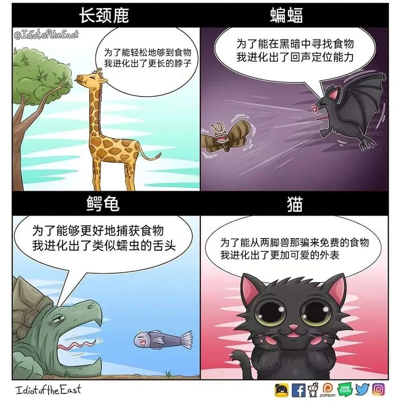 长颈鹿