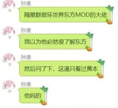 这是一段名为“孙渣”的用户的聊天记录截图，孙渣原本认为隔壁群里制作《环世界》东方Project主题MOD的大佬，肯定对东方Project的正统内容十分了解，结果在询问后得知，这位大佬居然只看过东方的成人向同人本（俗称“黄本”），最后用脏话表达了自己的震惊与无语，充满了吐槽的趣味。
