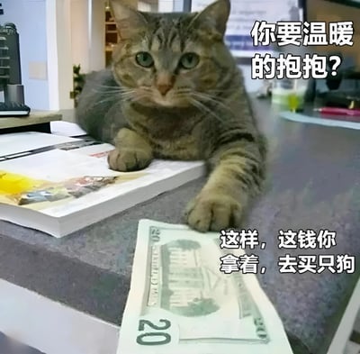 一只虎斑猫趴在办公桌上，前爪压着一张20美元钞票，表情严肃。图片右侧配有文字：'你要温暖的抱抱?'和'这样，这钱你拿着，去买只狗'，通过拟人化的方式表现猫咪拒绝亲密接触，用金钱让对方去买狗的幽默场景。