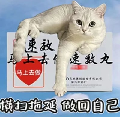 这是一张P图改编的静态图文混排图，画面主体是一只浅色猫咪，它睁着大眼睛，表情呆萌无辜，四肢放松地趴在一个模仿药品包装盒的图案上，一只前爪和一只后爪搭在包装盒边缘。包装盒上印有黑色的“速效”“马上去做”“速效丸”字样，还有一个红色心形框内的“马上去做”文字，包装盒下方标注有“药业集团股份有限公司 第六中药厂”的字样，图片底部配有醒目的黑色标语“横扫拖延 做回自己”。这张图运用了创意化的类比，将“立刻行动、克服拖延”的行为比作可以“服用”的速效药品，以幽默可爱的形式调侃拖延症，传递出摆脱拖延、马上行动的正向观念，适合在网络上用来自我激励或者调侃朋友的拖延行为。