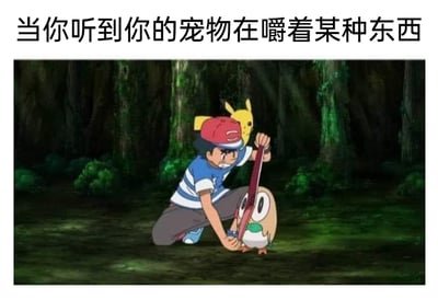 这是一张结合了动画截图与文字配文的搞笑梗图，上方配文为“当你听到你的宠物在嚼着某种东西”，下方是《宝可梦》动画中的森林场景：小智一脸着急地蹲在地上，双手用力试图拉开木木枭的嘴，将它口中咬着的长条状物品拽出来；皮卡丘站在小智身后，目光紧紧看向木木枭，似乎也很在意眼前的情况；木木枭则咬着物品，被小智拽住嘴部。整个场景精准还原了养宠人发现自家宠物乱咬不该咬的东西时，着急阻止的真实状态，用经典动画场景演绎养宠日常的无奈与好笑，引发养宠群体的共鸣。