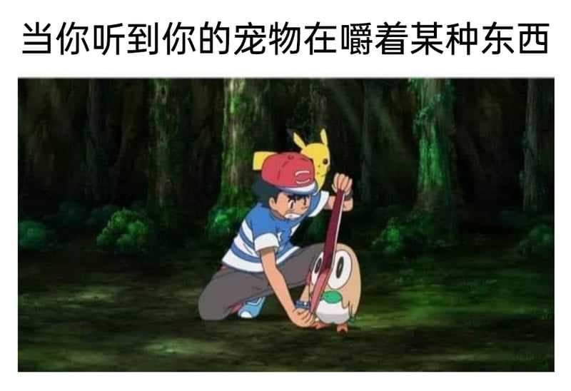 木木枭