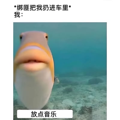 这是一张幽默梗图，上方文字写着"*绑匪把我扔进车里* 我："，下方是一张鱼在水下张嘴的照片，底部配有文字"放点音乐"。图片通过将被绑架的紧张情境与要求放音乐的轻松反应形成反差，创造出幽默效果。鱼的表情看起来像是在说话，配合文字形成了拟人化的喜剧效果。