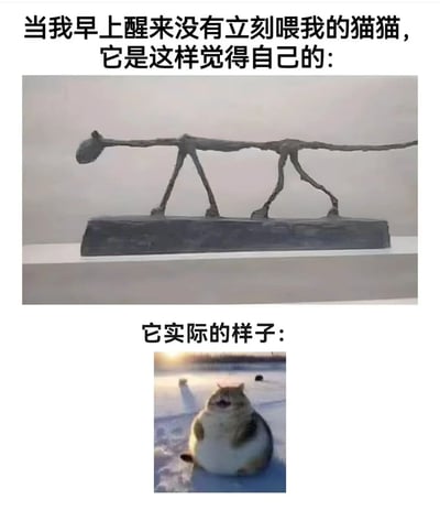 这张梗图通过上下对比的方式，幽默展现了猫咪在主人没有立刻喂食时的内心戏。上方是一个瘦骨嶙峋、四肢细长的猫形雕塑，配文“当我早上醒来没有立刻喂我的猫猫，它是这样觉得自己的：”；下方则是一只圆滚滚、胖乎乎的真实猫咪照片，配文“它实际的样子：”。通过夸张的对比，生动表现了宠物猫常见的“戏精”特质，以及主人对猫咪这种可爱行为的调侃。