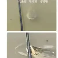 这是一张上下拼接的对比图，上图展示了水面上的钓鱼竿和鱼漂，配文“钓鱼佬 嘿嘿嘿 嘿嘿嘿”，传递出钓鱼时的期待心情；下图则是钓起的鱼被鱼竿拉着露出水面的瞬间，生动展现了钓鱼爱好者成功上鱼的快乐，精准戳中钓鱼爱好者的爽点，没有双关或谐音梗，是真实的钓鱼场景分享。