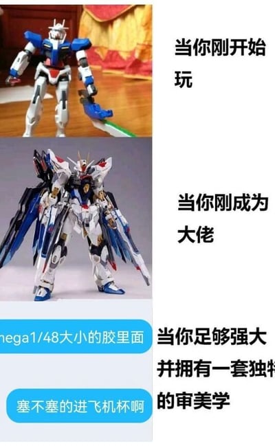 这是一张由三张内容模块组成的多图拼接连环梗图，以递进的方式调侃高达模型玩家的“成长”过程：1. 第一模块是一款造型简洁的入门级高达模型，配文“当你刚开始玩”，代表新手阶段接触的基础款拼装模型，这类模型结构简单，是玩家入门的选择；2. 第二模块是一款细节拉满、造型华丽的强袭自由高达模型，配文“当你刚成为大佬”，代表玩家进阶后开始追求的收藏级高端模型，这类模型有着精细的分色、丰富的配件和还原的造型，是模型玩家进阶的标志；3. 第三模块是一段聊天截图，左侧消息为“mega1/48大小的胶里面”，右侧配文“当你足够强大并拥有一套独特的审美学”，下方消息为“塞不塞的进飞机杯啊”，用低俗且反差的玩笑话调侃资深玩家脱离常规玩法，产生的奇特玩模思路，通过新手到大佬再到“奇葩玩法”的巨大反差，制造出荒诞搞笑的效果，属于模型爱好者圈子内部的玩梗内容。