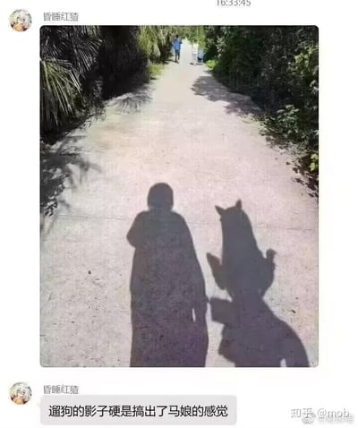 这是一张社交媒体截图，用户“昏睡红猹”分享了一张户外林间小路的实拍照片：照片前景是地面上的两个影子，一个是普通的人形影子，旁边的狗的影子因为光影角度的巧合，看起来像是有着马头的人形，完美契合二次元作品里“马娘”的形象。发布者配文“遛狗的影子硬是搞出了马娘的感觉”，利用视觉错位的巧合制造出趣味效果，让人忍俊不禁。