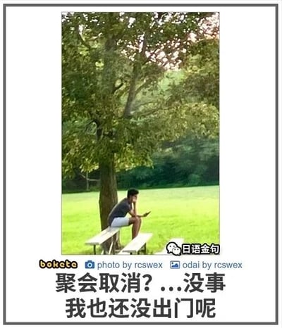 这是一张文字加注的视觉错位搞笑梗图，画面呈现户外草地的大树下场景，一名男子坐在地面上，由于大树的树干恰好位于两侧长椅的中间位置，形成了男子仿佛坐在树干做成的“长椅”上的视觉错觉。男子低头专注看着手机，图的底部配有文字“聚会取消？...没事 我也还没出门呢”，用这个场景调侃自己本就没有出门的打算，聚会取消正好符合心意，带有一种自我安慰式的幽默。图中还带有多处水印，右下角是微信公众号“日语金句”的标识，左下角有“bokete”字样，底部还标注了“photo by rcswex”“odai by rcswex”，表明了照片拍摄者和文字创作者。