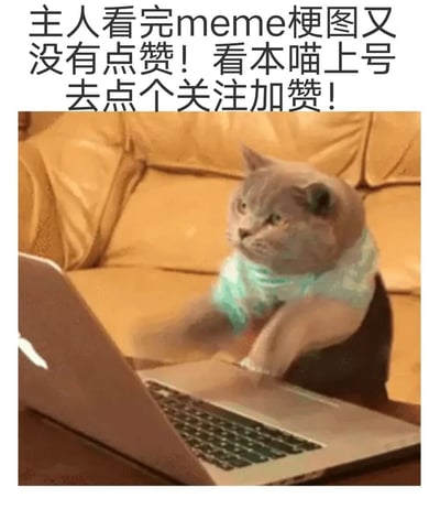 图片上方有黑色文字“主人看完meme梗图又没有点赞！看本喵上号去点个关注加赞！”，下方是一只戴着浅蓝色围巾的灰猫，正坐在棕色皮沙发前，用两只前爪在笔记本电脑键盘上操作，表情专注，仿佛真的在替主人上网进行点赞关注的操作。整体画面幽默可爱，通过拟人化的猫咪形象，以俏皮的方式表达了希望获得点赞和关注的诉求。