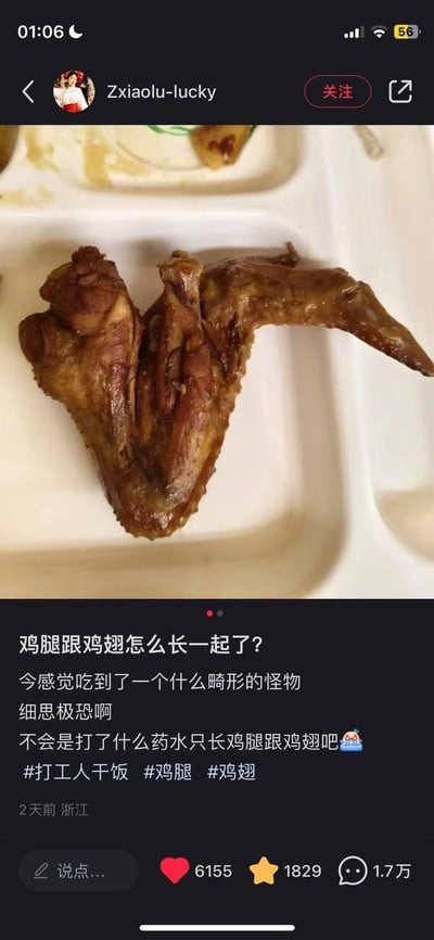 这是一张小红书平台的用户发帖截图，画面上半部分是放在白色分格餐盒里的一块卤制肉制品，外形看起来像是鸡腿和鸡翅连在一起的怪异形态，颜色为深棕色，表面带有卤制后的油亮光泽。下半部分是发布者的配文内容，发布者表示自己吃到了这个类似畸形怪物的食物，感到细思极恐，怀疑是给鸡注射了特殊药水导致其只生长鸡腿和鸡翅，同时附带了#打工人干饭 #鸡腿 #鸡翅 等话题标签。该帖子发布于2天前的浙江，收获了6155个点赞、1829个收藏以及1.7万条评论，在平台引发了网友的关注与讨论。
