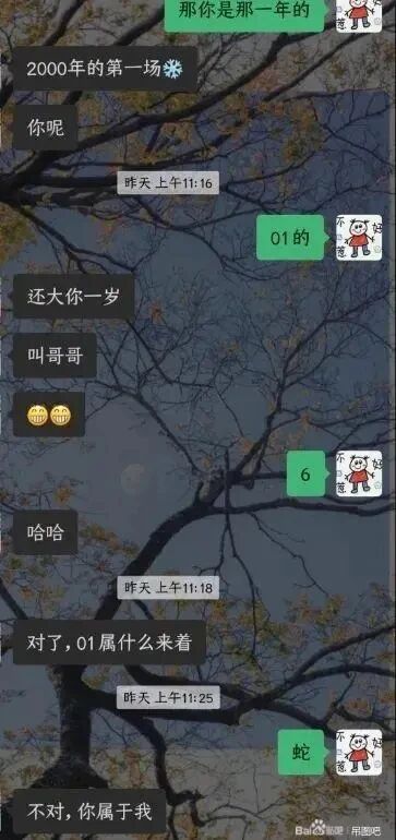 这是一张竖屏的聊天记录截图，背景为带有枯树枝的暗色天空图片。对话围绕出生年份与生肖展开：绿色气泡用户先询问对方出生年份，黑色气泡用户以“2000年的第一场❄️”（化用歌曲名）回应并反问，绿色气泡用户表示自己是01年的，黑色气泡用户以年长一岁为由让对方叫哥哥，绿色气泡用户回复“6”表示调侃，黑色气泡用户接着询问01年属什么，绿色气泡用户回答“蛇”，黑色气泡用户随即用土味情话“不对，你属于我”回应，利用“属”的语义双关，将生肖归属的“属”转化为“属于”的含义，制造出甜蜜的互动效果，是情侣间的趣味调侃。