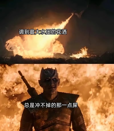 图片分为上下两部分。上半部分是激烈的爆炸场景，火光冲天，配文‘调到最大水压的花洒’；下半部分是一个身穿盔甲的角色站在火焰中，表情严肃，配文‘总是冲不掉的那一点屎’。通过夸张的电影爆炸场景与日常如厕难题的对比，制造出幽默效果。