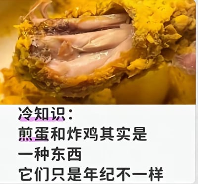 图片上半部分是特写的炸鸡，金黄酥脆的外皮包裹着鲜嫩的鸡肉，肉质纹理清晰可见。下半部分配有黑色文字'冷知识：煎蛋和炸鸡其实是一种东西 它们只是年纪不一样'，通过幽默的类比，将煎蛋和炸鸡戏称为同一种东西的不同年龄阶段，制造出荒诞又搞笑的效果。